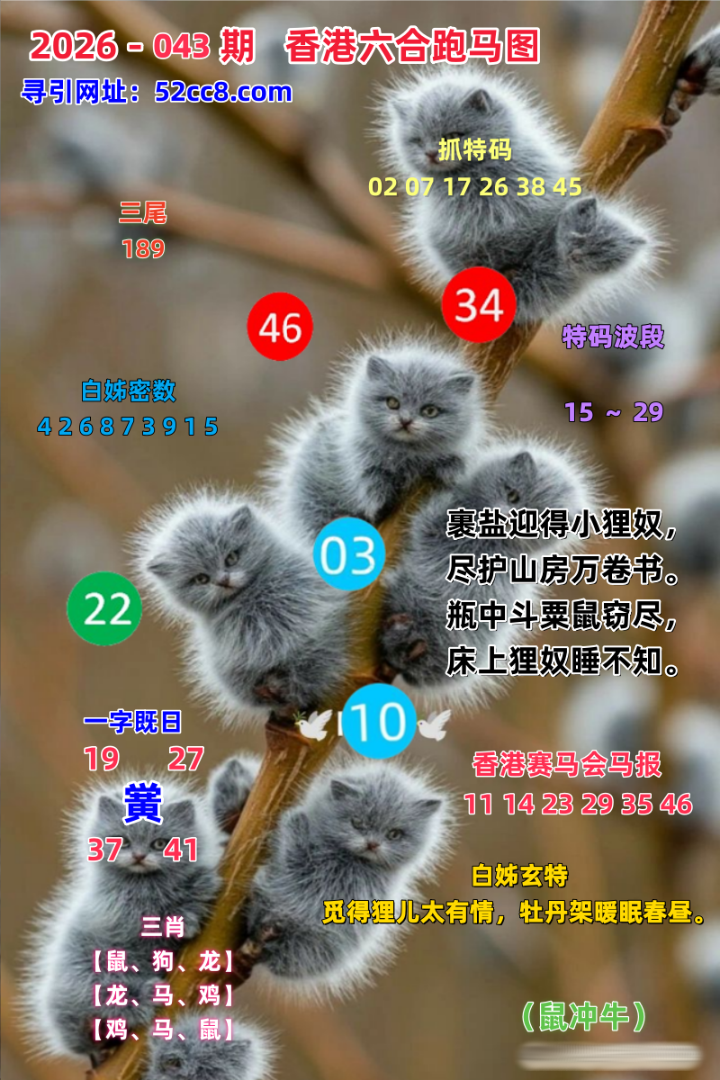 香港六合043期