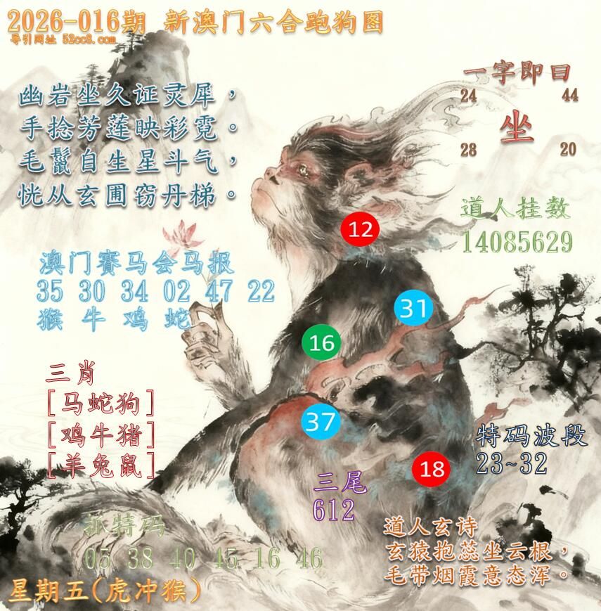 新澳门六合跑马图016期
