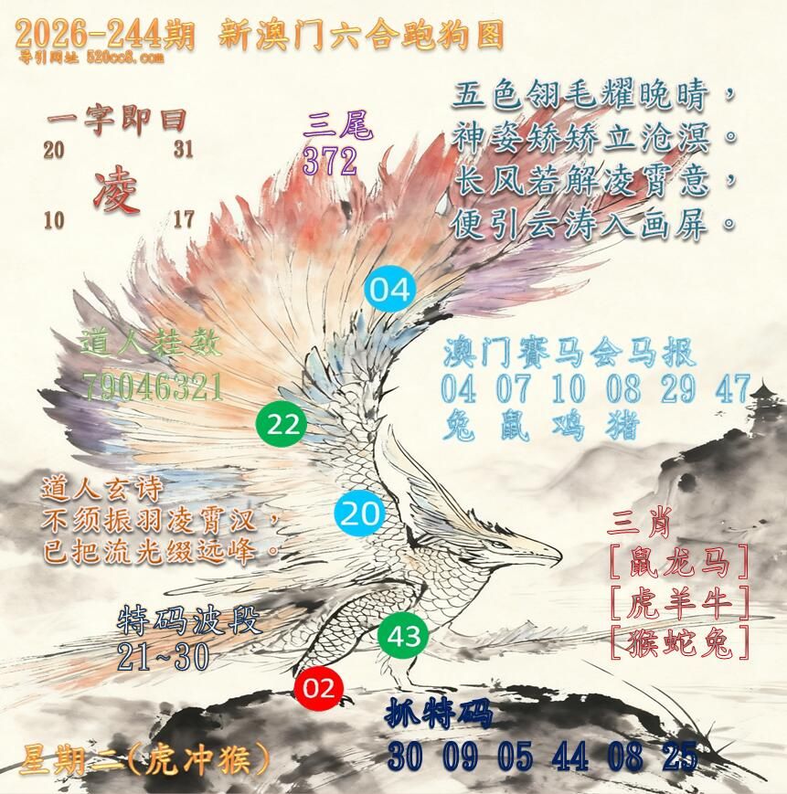 新澳门六合跑马图244期