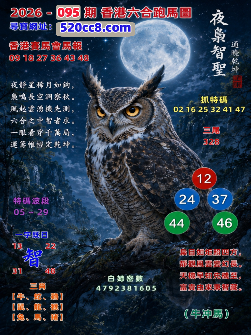 香港六合095期