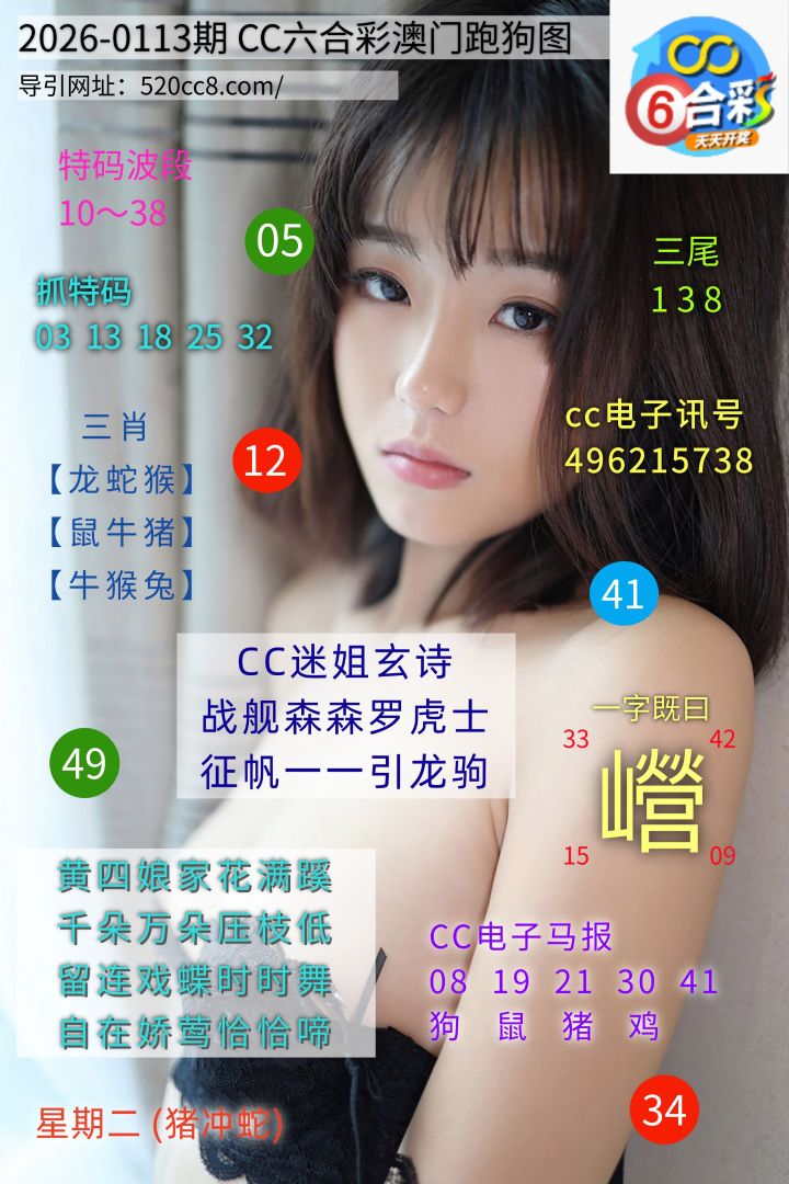 CC六合澳门跑马图0113期