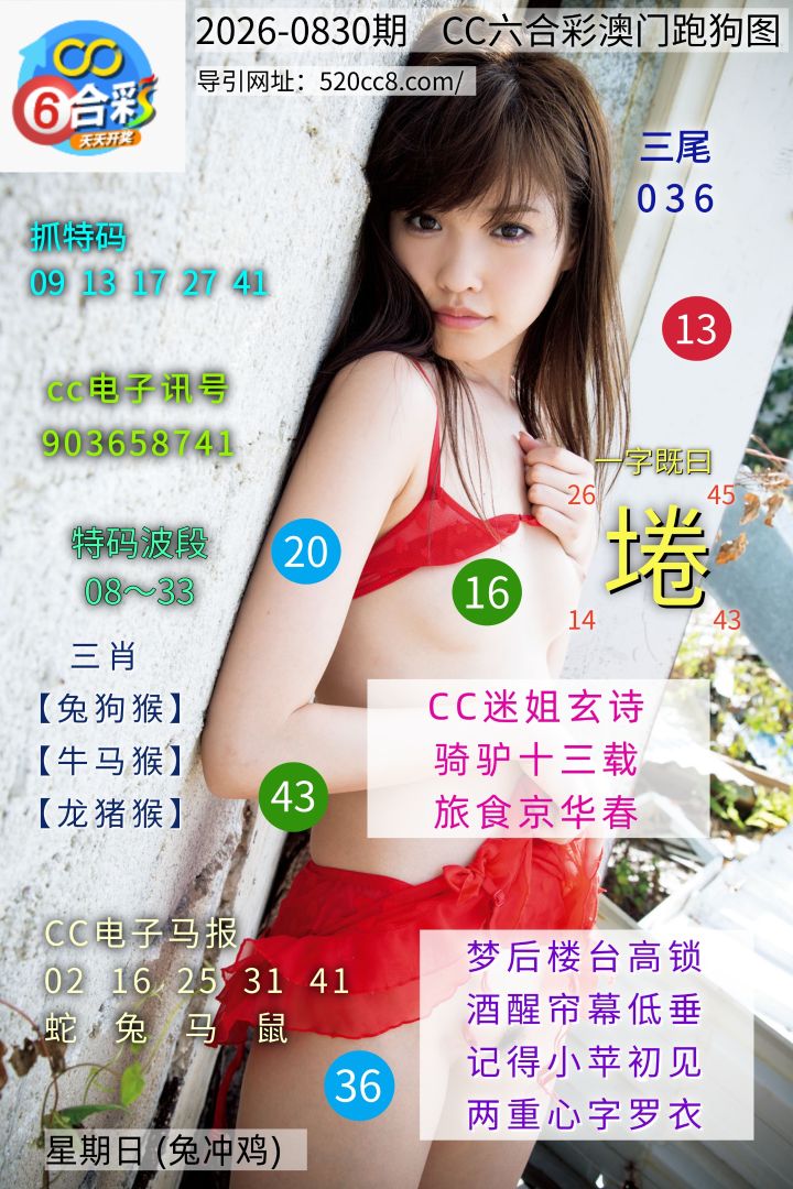 CC六合澳门跑马图0830期